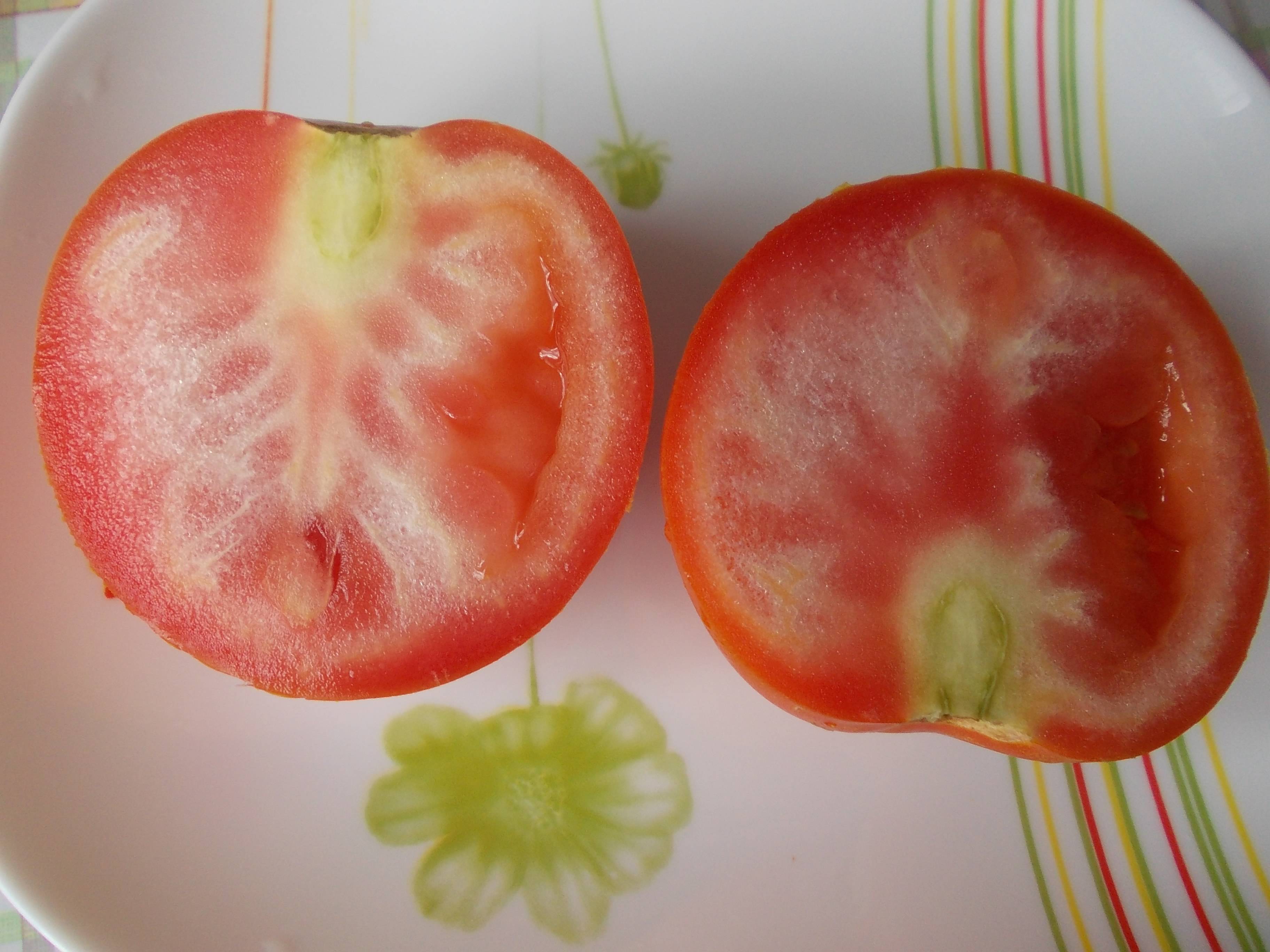 Почему помидоры красные. Столбур томатов. Столбур плодов томатов. Томаты с белыми прожилками внутри. Фитоплазмоз томатов.