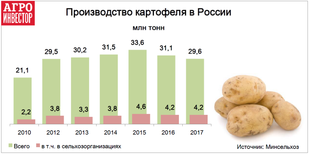 Производство картофеля в России. Производство картофеля статистика. Производители картофеля в России. Урожайность картофеля по годам. Сколько лет картофелю