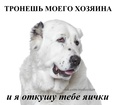 Аватар пользователя Андрей Закатаев