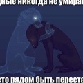 Аватар пользователя Мунира Ширяева