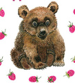 Аватар пользователя медвежонок1