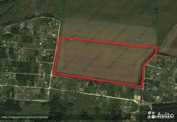 Площадь земель фермерского хозяйства отведенных под посадку. 0,10 Га. Фермерские хозяйства в Орехово-Зуевском районе. 3 Га 8 а = а. 11 Гектар.