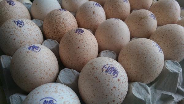 Купить инкубационное яйцо в курской области. Инкубационное яйцо индюков. Инкубационное яйцо китайского серого гуся. Яйцо перепела инкубационное в Воронеже.