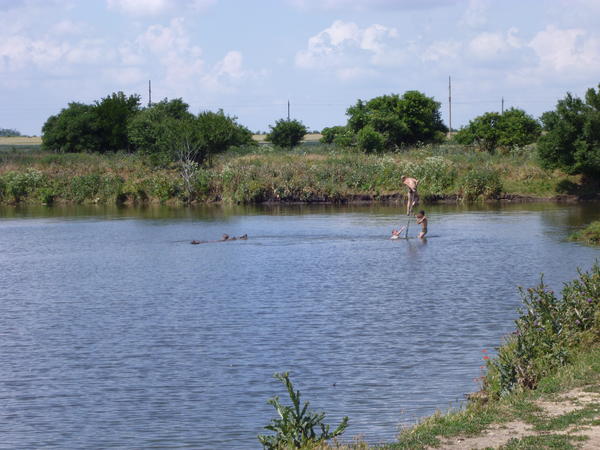 Погода ставропольский край село грушевского