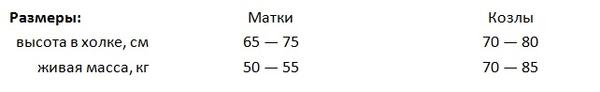 у какой породы коз есть сережки на шее. 1 0. у какой породы коз есть сережки на шее фото. у какой породы коз есть сережки на шее-1 0. картинка у какой породы коз есть сережки на шее. картинка 1 0