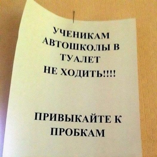 мясо без водки едят только собаки. Смотреть фото мясо без водки едят только собаки. Смотреть картинку мясо без водки едят только собаки. Картинка про мясо без водки едят только собаки. Фото мясо без водки едят только собаки