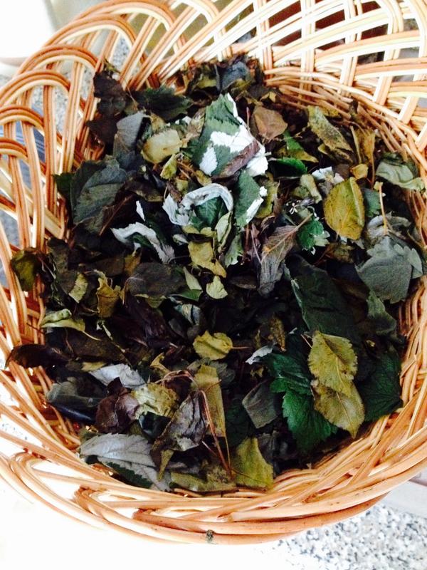 Как приготовить чай из листьев. Ферментированный чай из листьев инжира. Чай из листьев яблони ферментированный. Чай похожий на цветок. Чай из листьев мастики.