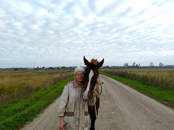 Аватар пользователя Бри Ван де Камп