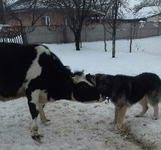 Аватар пользователя Грек Валерий