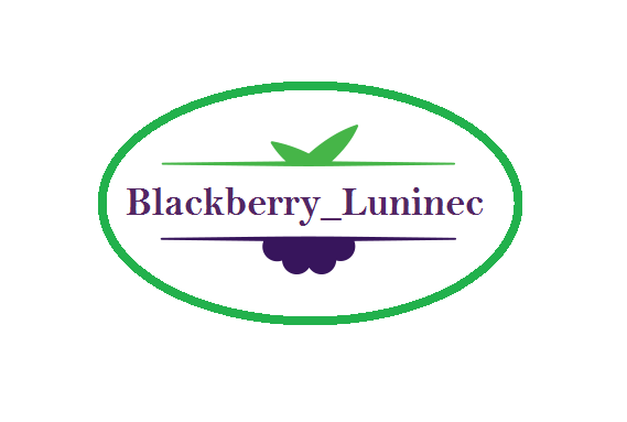 Аватар пользователя Blackbery_luninec