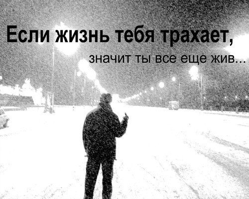 Аватар пользователя карбункул