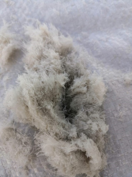 Аватар пользователя Ольга R