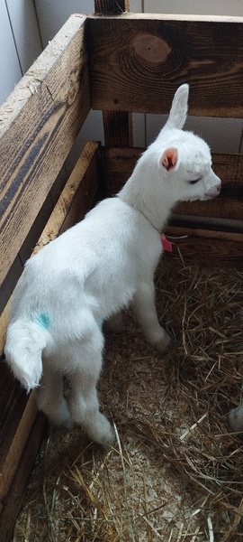 Аватар пользователя Eduard dek2025