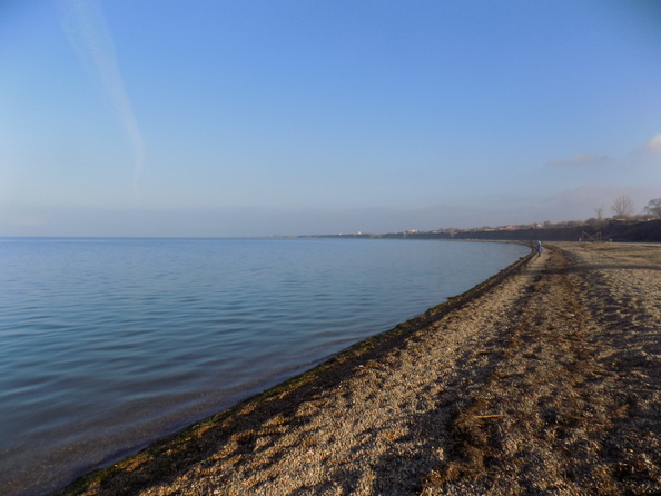 какая рыба водится в таманском заливе. Смотреть фото какая рыба водится в таманском заливе. Смотреть картинку какая рыба водится в таманском заливе. Картинка про какая рыба водится в таманском заливе. Фото какая рыба водится в таманском заливе