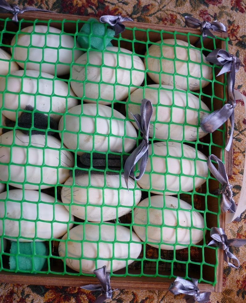 Блиц 90 яиц. Инкубатор Вегас гусиные яйца. Инкубация гусиных яиц в инкубаторе блиц норма. Инкубация гусиных яиц в блиц 72. Инкубация гусиных яиц блиц.