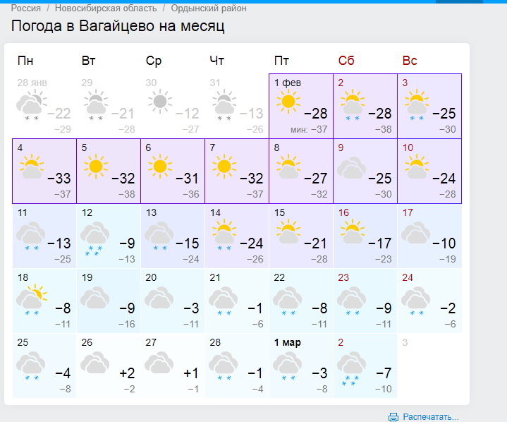 Погода ордынске новосибирская