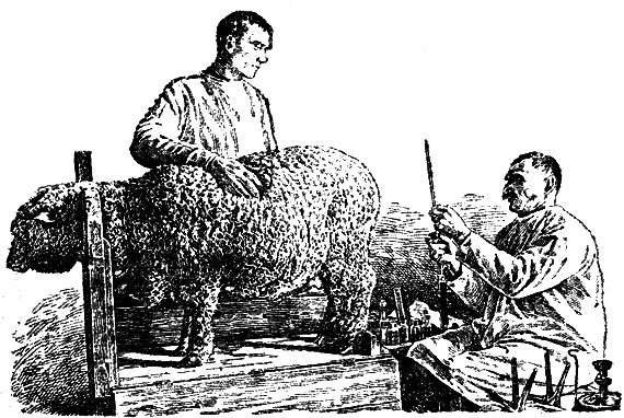 Рис. 15. Случной станок