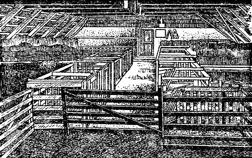 Рис. 18. Родильное отделение для овец