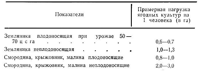 Нормы закрепления ягодных культур за одним рабочим
