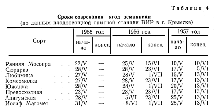 Таблица 4. Сроки созревания ягод земляники