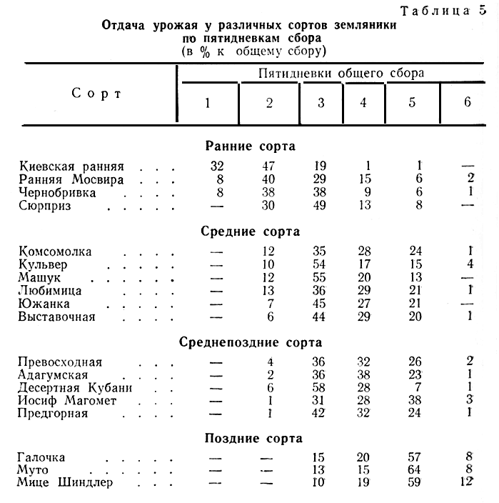 Таблица 5. Отдача урожая у различных сортов земляники по пятидневкам сбора