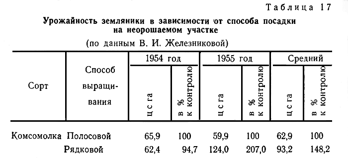 Таблица 17. Урожайность земляники в зависимости от способа посадки на неорошаемом участке