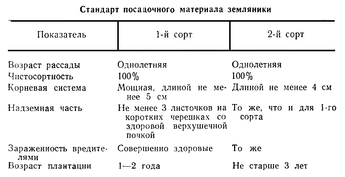 Стандарт посадочного материала земляники 