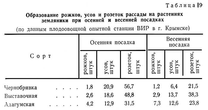 Таблица 9. Образование рожков, усов и розеток рассады на растениях земляники при осенней и весенней посадках