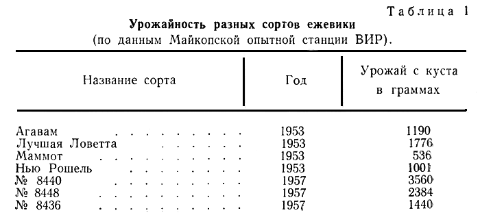 Таблица 1. Урожайность разных сортов ежевики