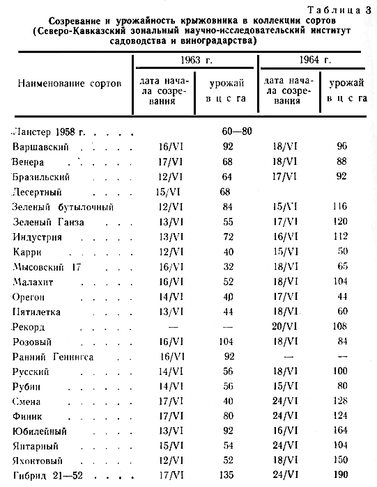 Таблица 3. Созревание и урожайность крыжовника в коллекции сортов (Северо-Кавказский зональный научно-исследовательский институт садоводства и виноградарства)