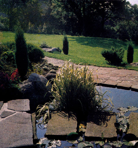 Горизонтальная поверхность воды создает эффектный контраст водяным растениям, растущим вертикально вверх. Водоемы лучше обложить природным камнем, использовав его в качестве крупной брусчатки