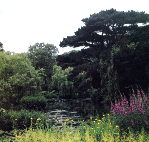 Высокие деревья на берегу, широкая гладь воды и цветущие многолетники — все это выглядит уголком нетронутой природы 