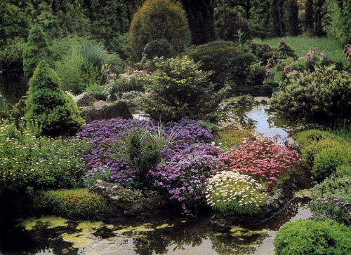 Интересное решение уголка с водоемом. За группой ковровых многолетников следуют древесные породы, из которых наиболее эффектно выглядят карликовые виды хвойных растений