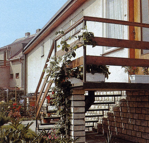 Ломонос относится к числу популярных цветущих и вьющихся древесных пород. На снимке: крупноцветное растение украшает лестницу. Правда, учитывая окраску штукатурки, следовало выбрать другой сорт, у которого цветы были бы яркими, а не белыми 