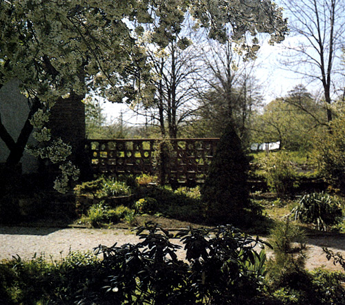 Участки, расположенные в полутени, можно озеленить и украсить, лишь продуманно выбрав и рассадив растения — многолетники и древесные насаждения, которым тень не помеха. Это прежде всего виды, которые в естественных условиях растут под кронами высоких лиственных деревьев и расцветают раньше, чем деревья покрываются листвой