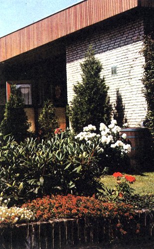 Многолетники в палисаднике — не менее важный элемент решения сада и создания пейзажа, чем некоторые виды древесных насаждений — лиственных и хвойных деревьев. Небольшая площадь палисадника определяет ассортимент и количество растений; нельзя перенасыщать участок растениями. В густой посадке теряется красота не только всей композиции, но и отдельных растений