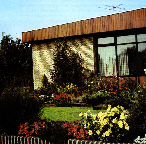 Аранжированные сухоцветы находят широкое применение при декоративном оформлении интерьеров в зимнее время. Для букетов и аранжировок используют, например, гелихризум (Helichrysum bracteatum), листочки-обертки, соцветия которого сохраняют свой цвет и после сушки. Это растение можно использовать самостоятельно и в комбинации с другими сухоцветами, что и изображено на нашем снимке