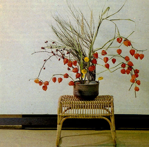 Перед цветоводами открываются широкие возможности использования летников. Правда, многое зависит от их вкуса. Например, петунию можно высаживать на клумбах с летниками, однолетние растения оживляют участки многолетников