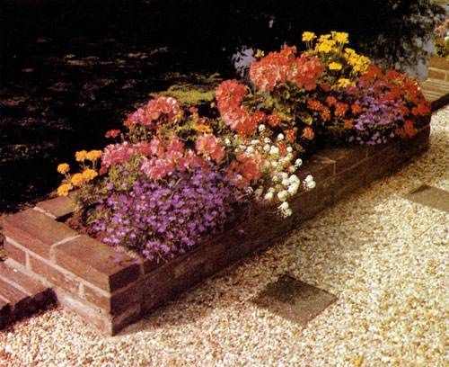  В корыто из кладки посажены пеларгонии в комбинации с летниками, что дало красивую композицию 