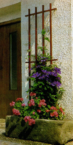 В палисаднике, где растут деревья, а земля покрыта травой, игрой красок поражают пеларгонии, помещенные в оконные ящики, и пестрые однолетники, посаженные в вегетационные сосуды 