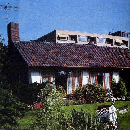 Продуманно используя декоративные древесные породы, можно и небольшом саду создать впечатляющую композицию, где архитектура и зелень будут образовывать единое целое