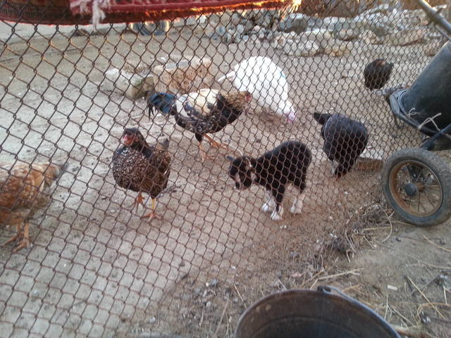 VFL.RU - ваш фотохостинг VFL.RU - ваш фотохостинг