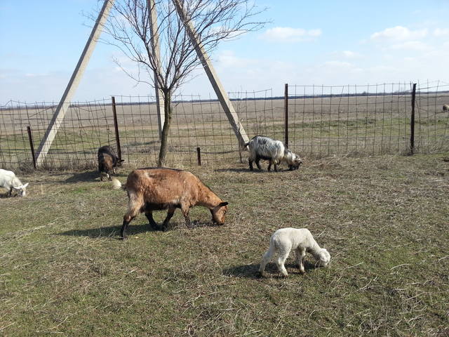 VFL.RU - ваш фотохостинг