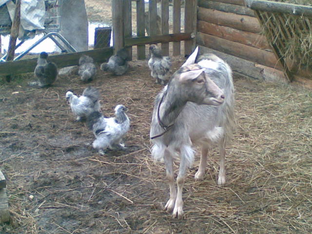 VFL.RU - ваш фотохостинг VFL.RU - ваш фотохостинг