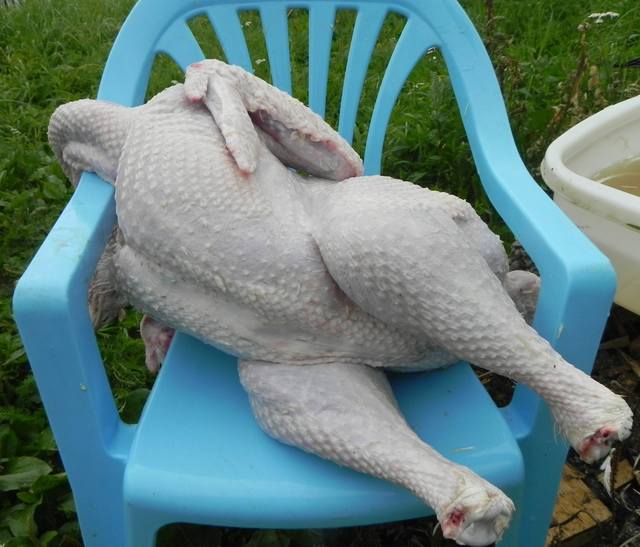 VFL.RU - ваш фотохостинг