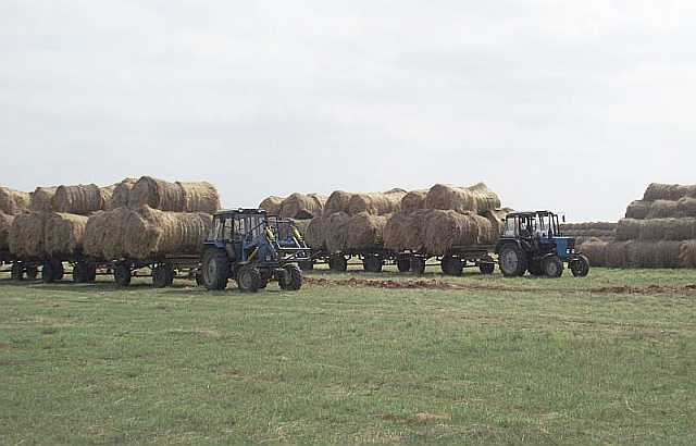 Перевозка сена