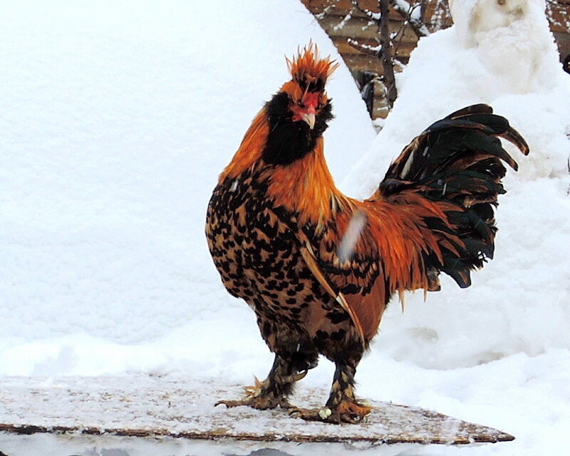 14 НОЯБРЯ 2014