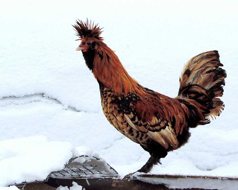 14 НОЯБРЯ 2014