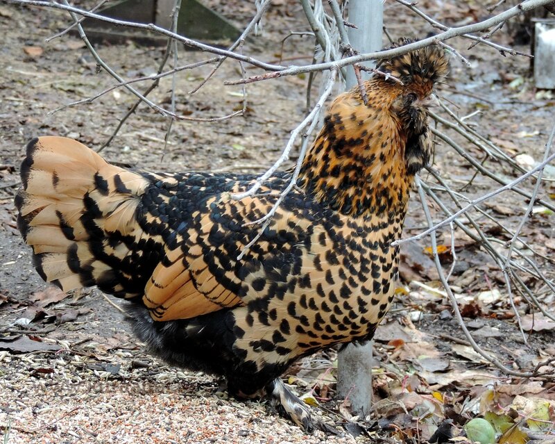 24 октября 2014