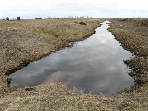 Ржача около моста